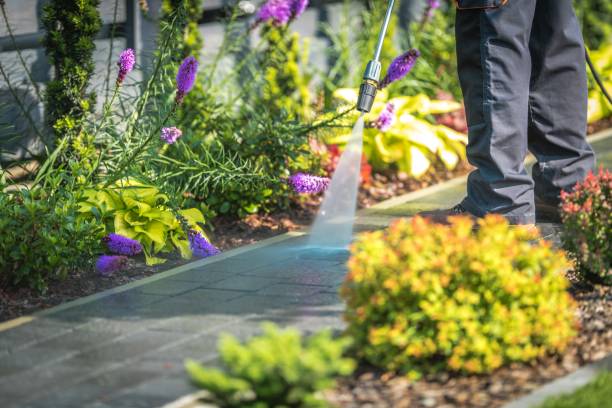 Best Commercial Pressure Washing in Cashton, WI